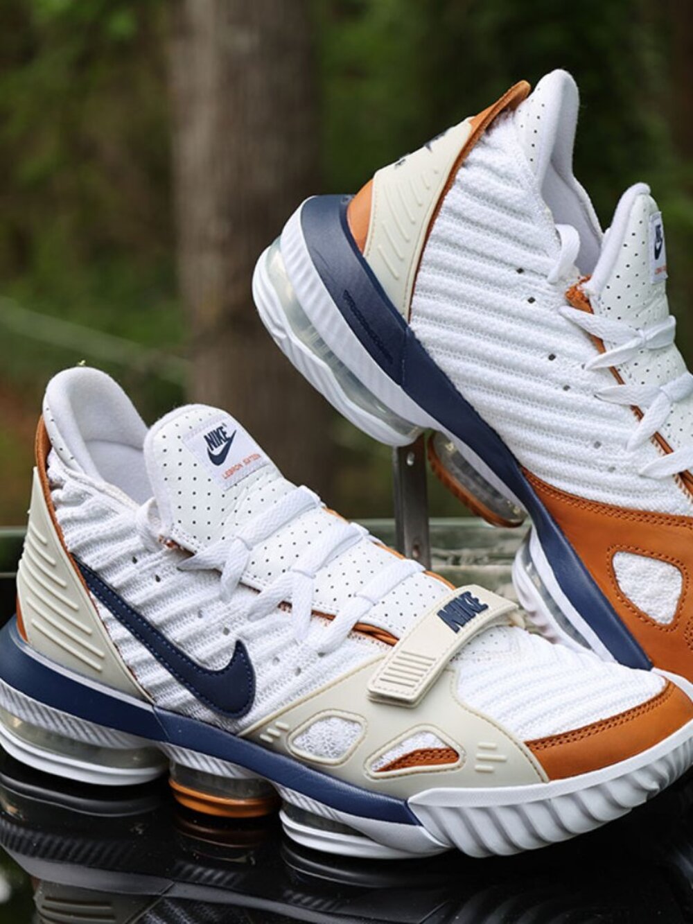 Nike LeBron 16 Air Trainer Medicine Ball